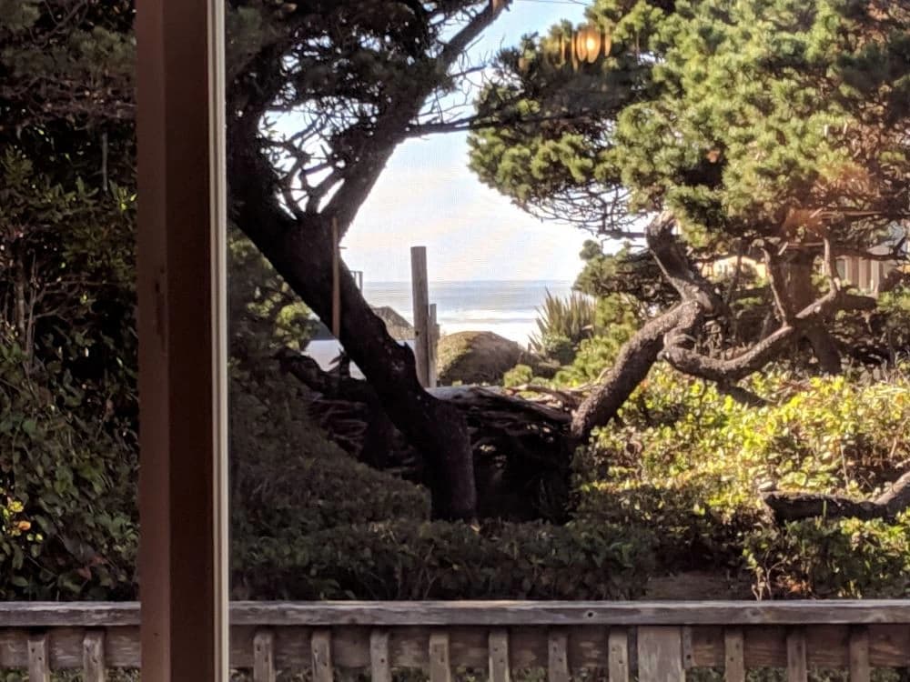 Heceta Haven with a peek at Heceta Beach — photo 3