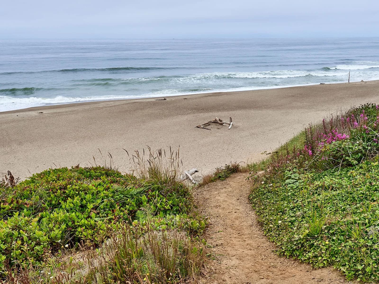 Lincoln Beach & Surfers Beach Retreats - 21 Bedrooms — Coastal beach path view