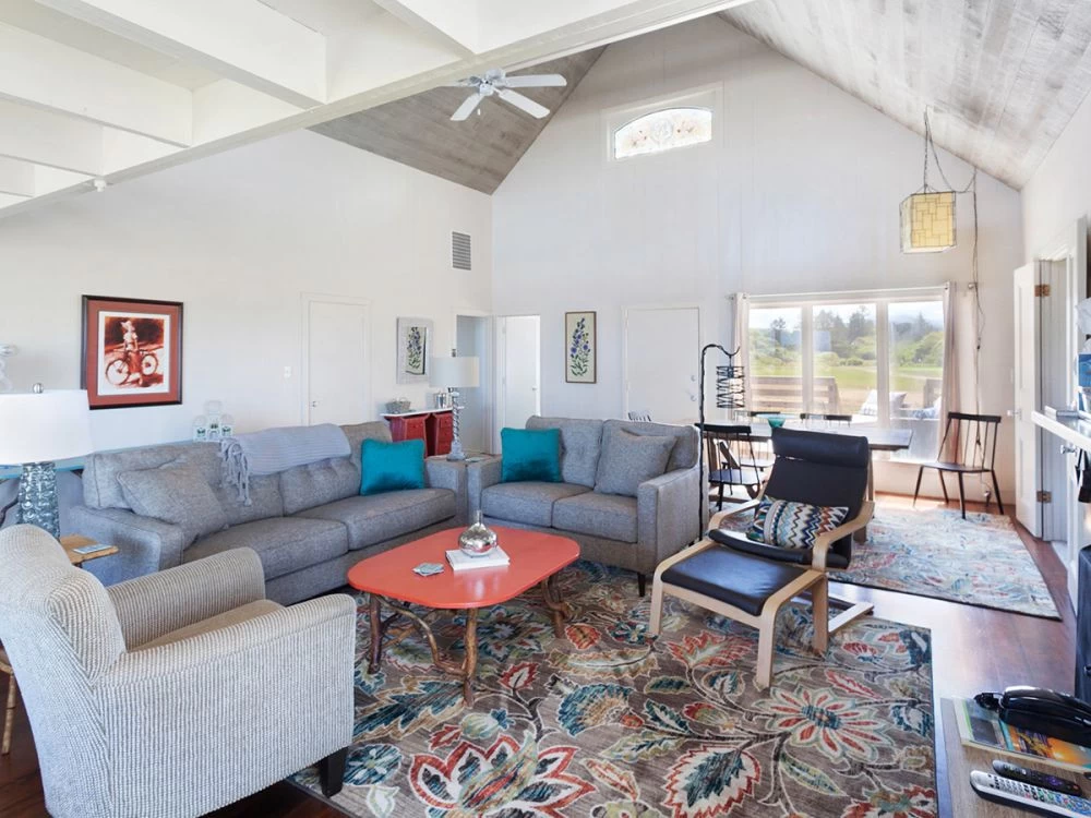 Vaulted ceiling living room