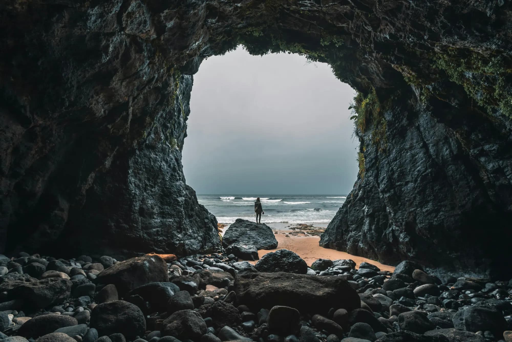Discover the Best of the Pacific Northwest with Beachcombers NW