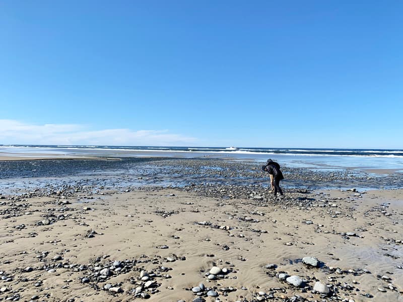 Oregon Coast Agate Hunting
