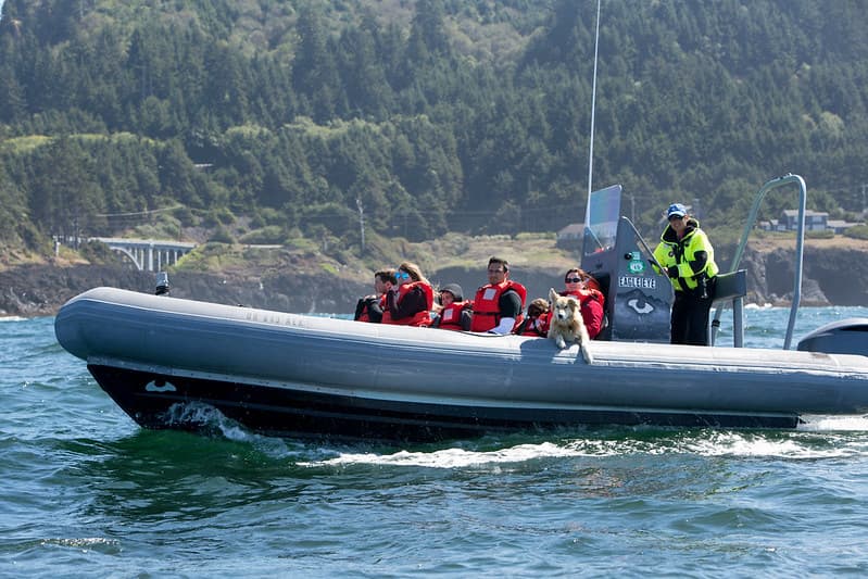 The Best Things to See and Do in Depoe Bay