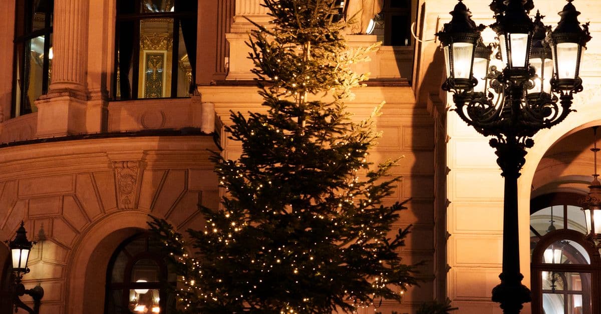 Holiday Social & Auction