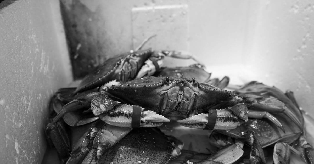 Depoe Bay Classic Wooden Boat Show, Crab Feed & Ducky Derby