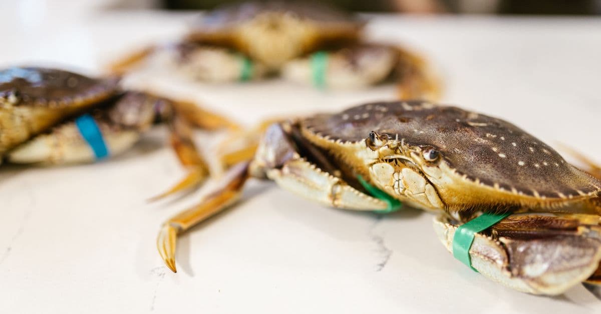 Yachats Lions Annual Crab Feed