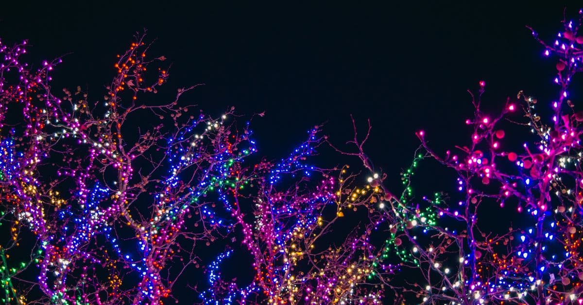 Oregon Coast Aquarium~ Sea of Lights