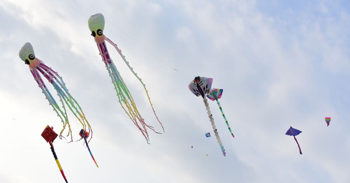 Up Your Wind Kite Festival