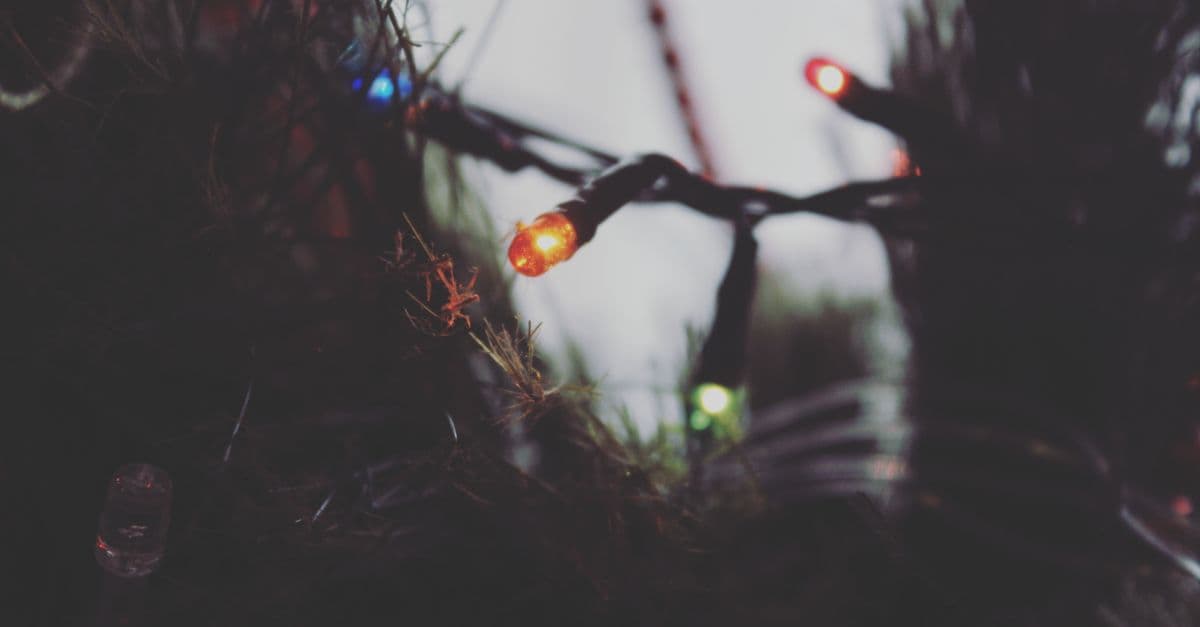 Coos Bay Holiday Lights