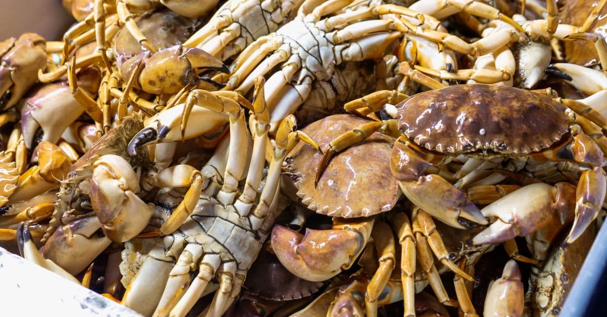 Wheeler Crab Festival