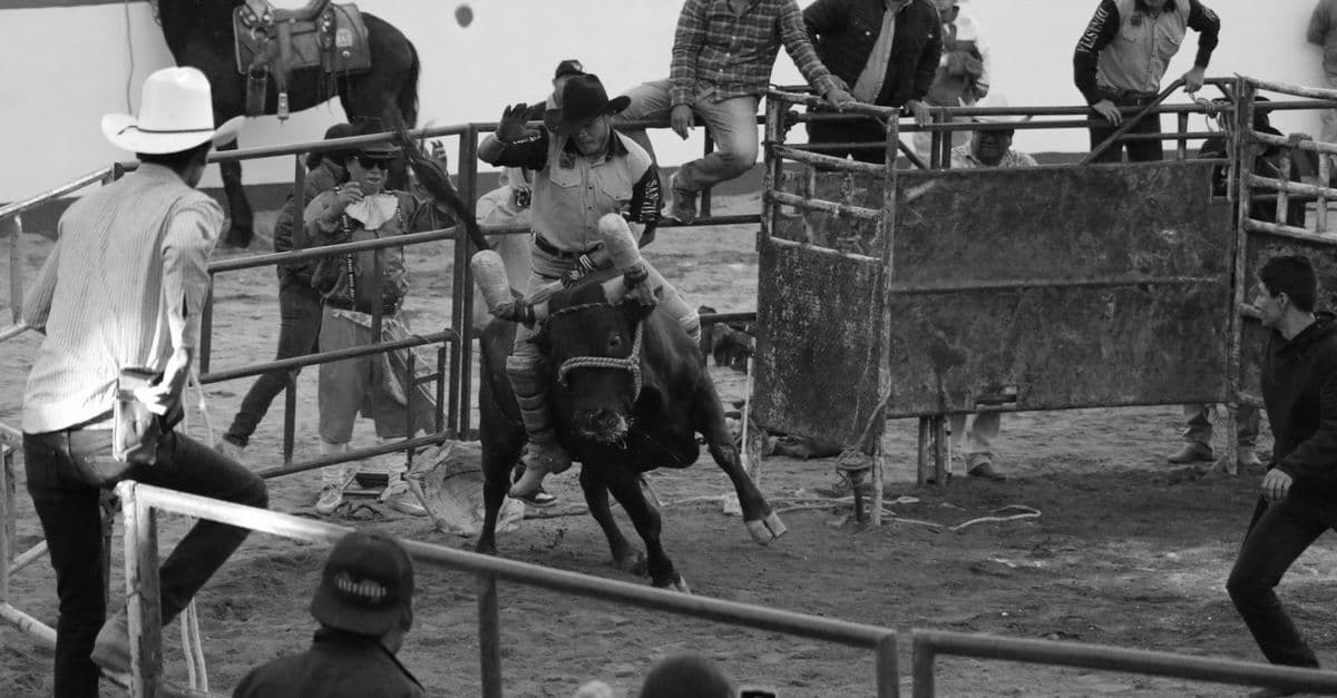 Tillamook County Rodeo
