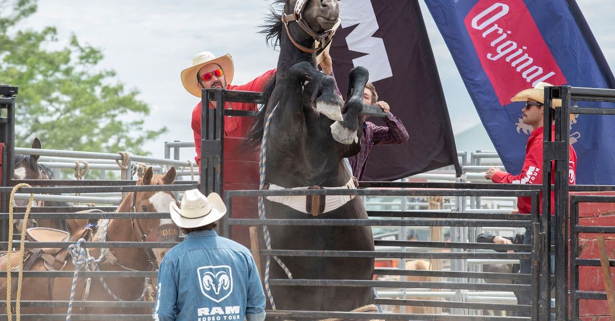 Tillamook County Rodeo