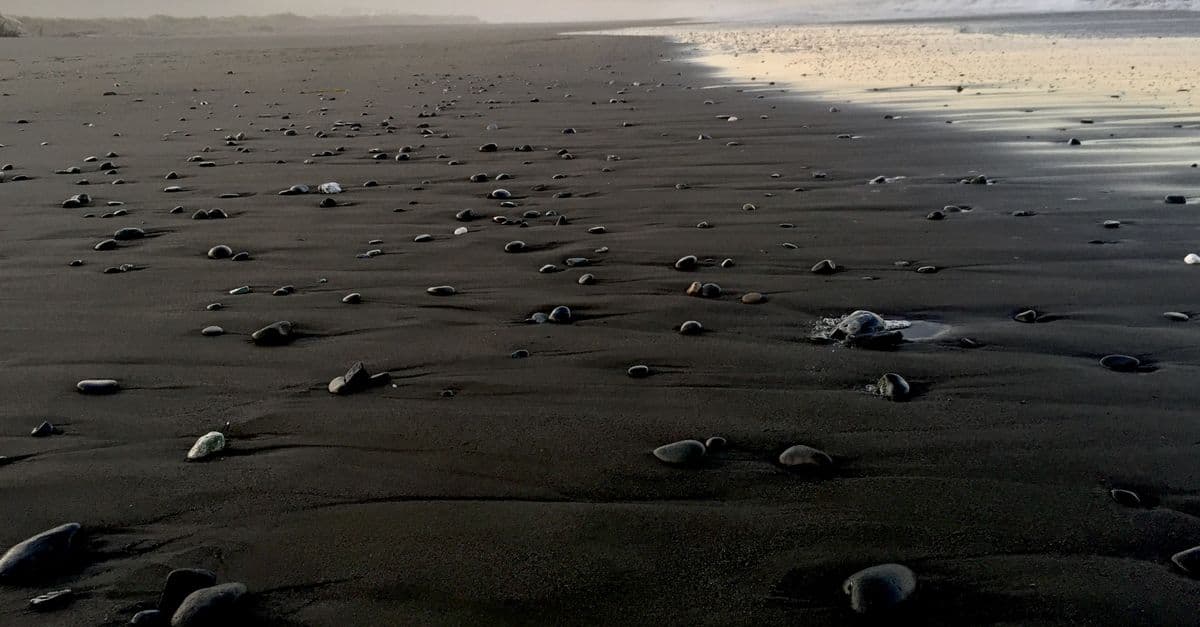 Oregon Coast Cycling Festival