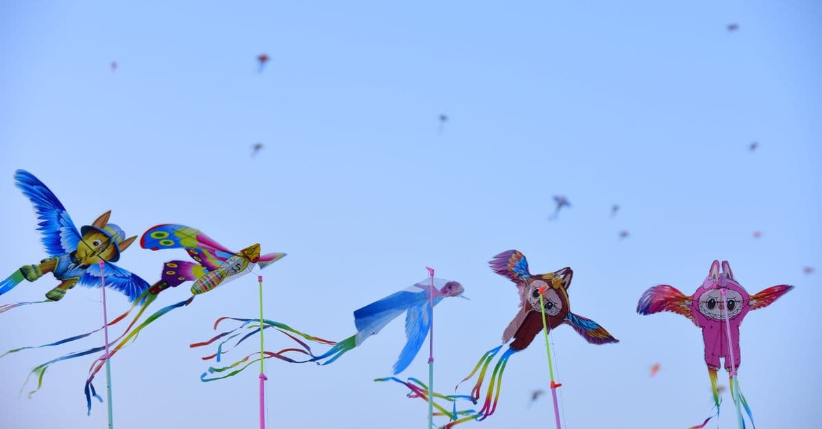 Annual Washington State International Kite Festival