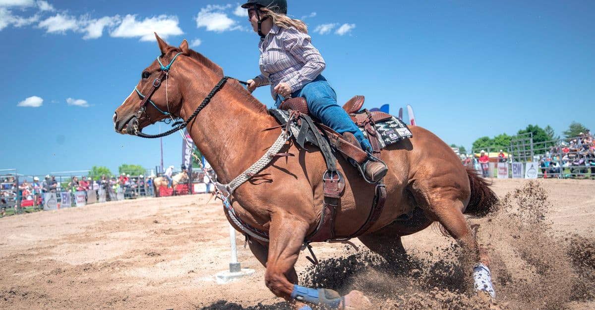 Tillamook County Rodeo