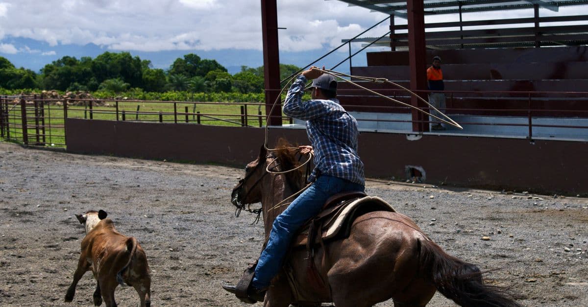 Annual NRPA Rodeo
