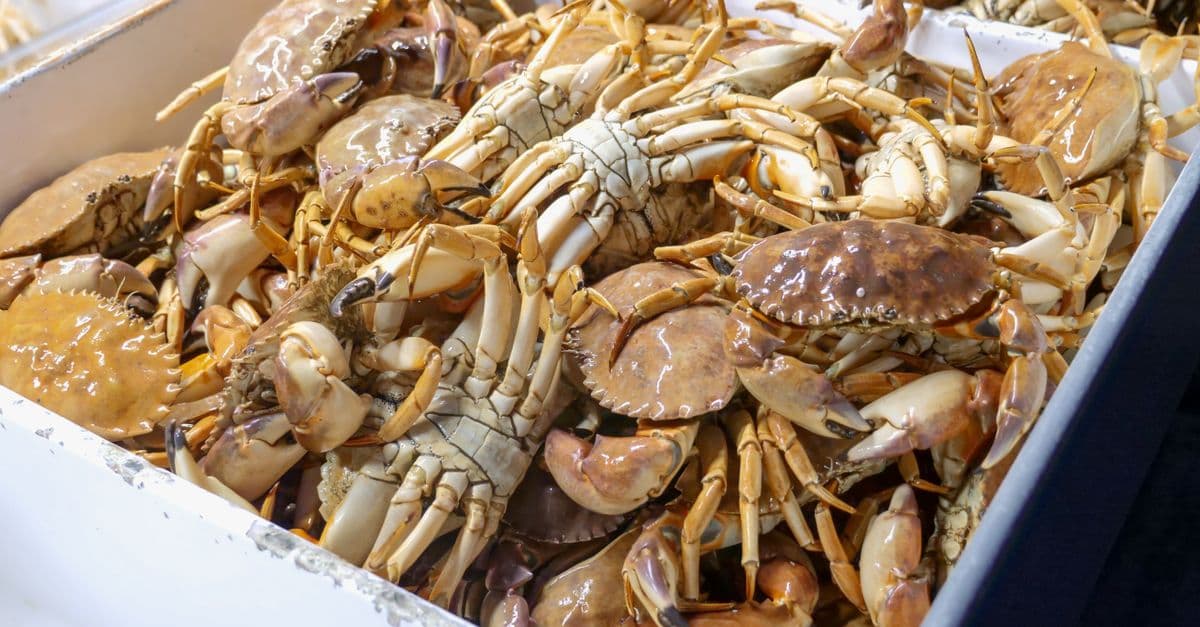 Wheeler Crab Festival