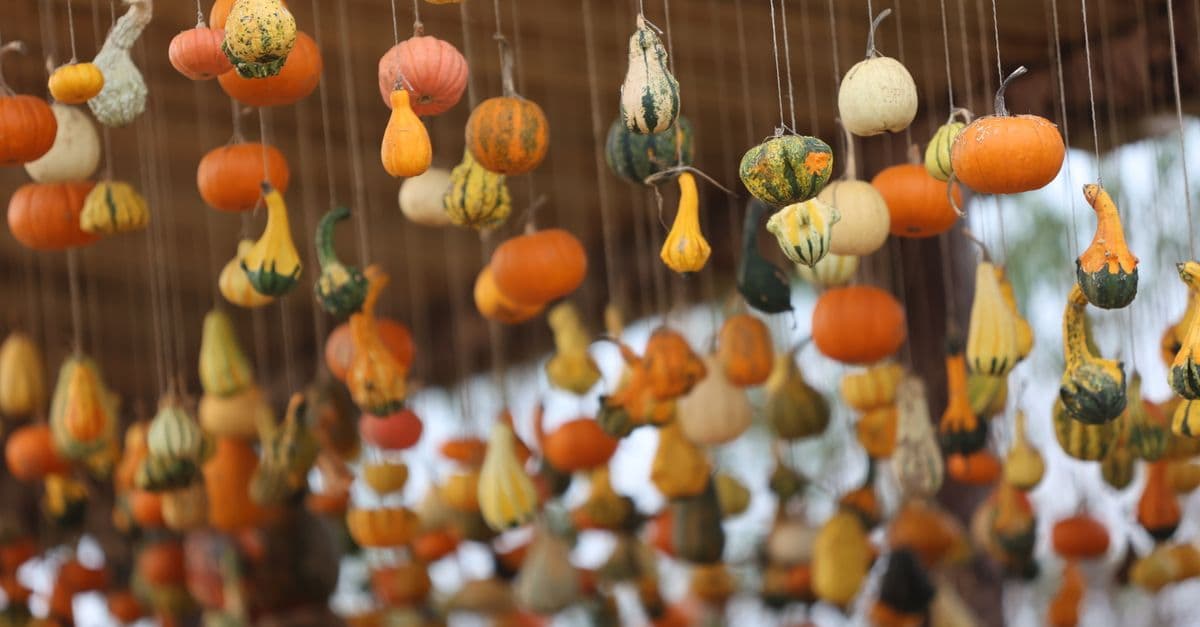 Annual Autumn Rocktober Fest