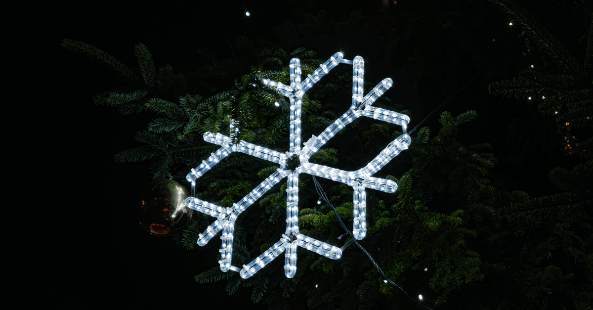 Oregon Coast Aquarium~ Sea of Lights