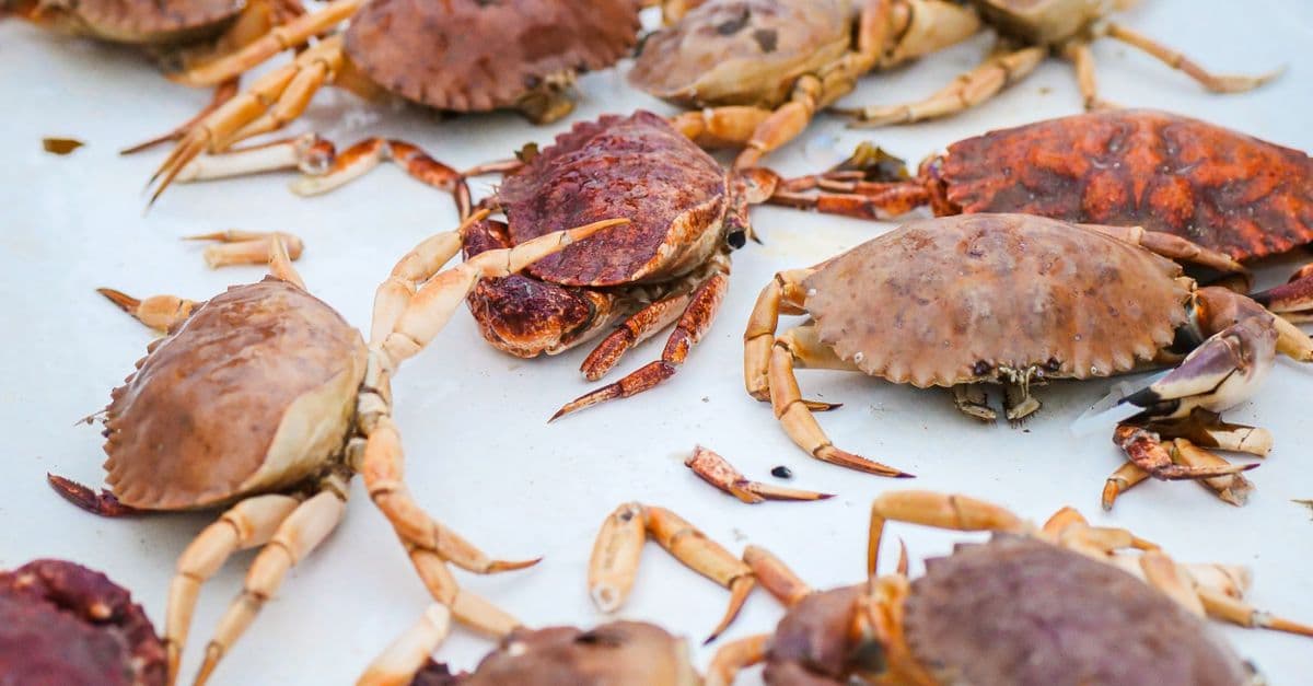 Annual Seafood & Craft Show