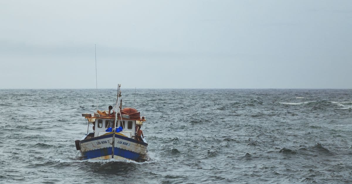 Annual Salmon Derby