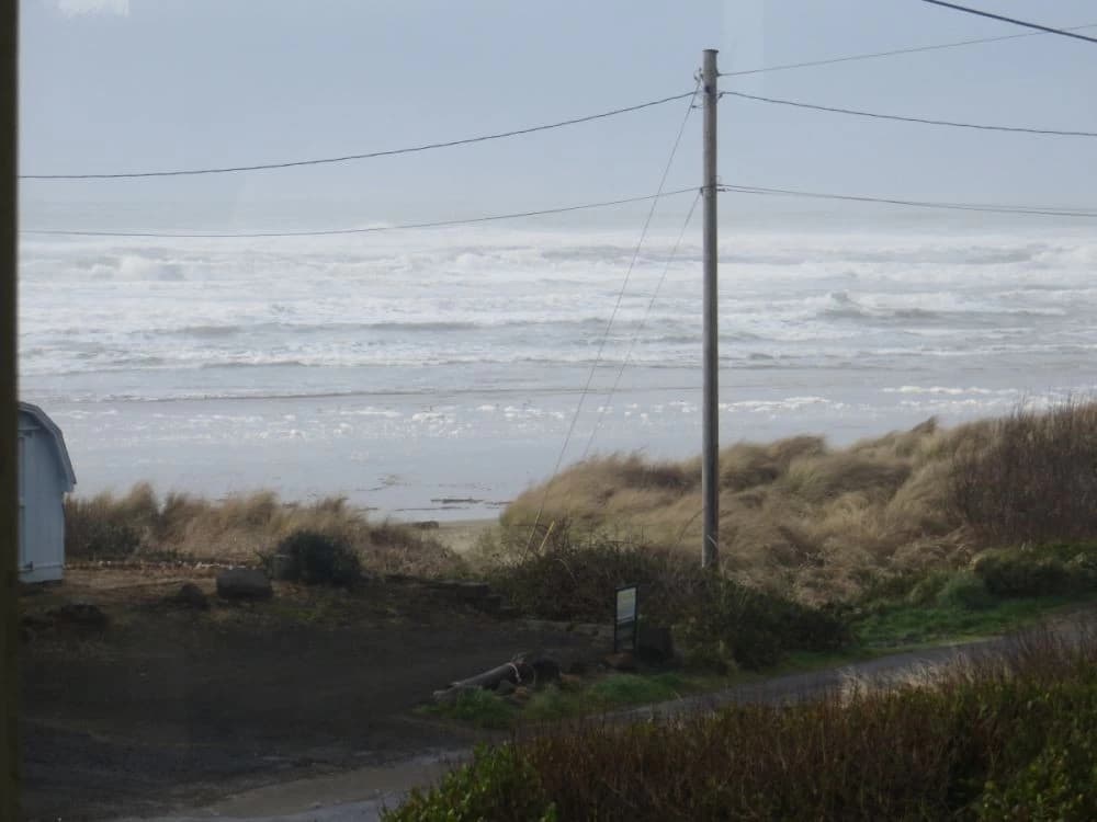 Sea Lion Surf at Heceta Beach