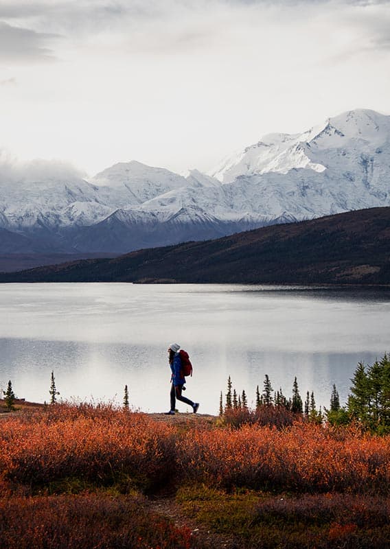 Remote Alaska Lodges | Stay in Denali or the Kenai Fjords