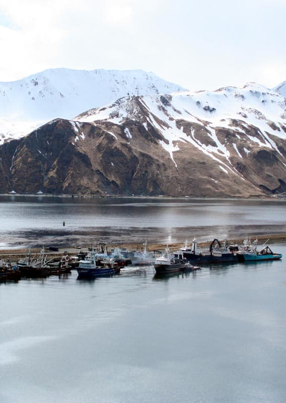 Alaska King Crab: What Makes it so Good and How to Enjoy it Best