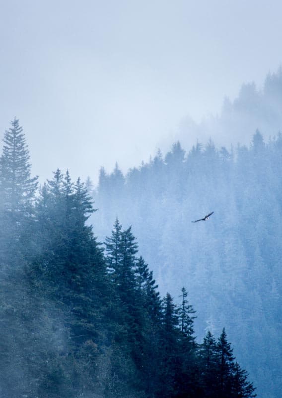 How to Have Your Own 'Quiet Adventure'
