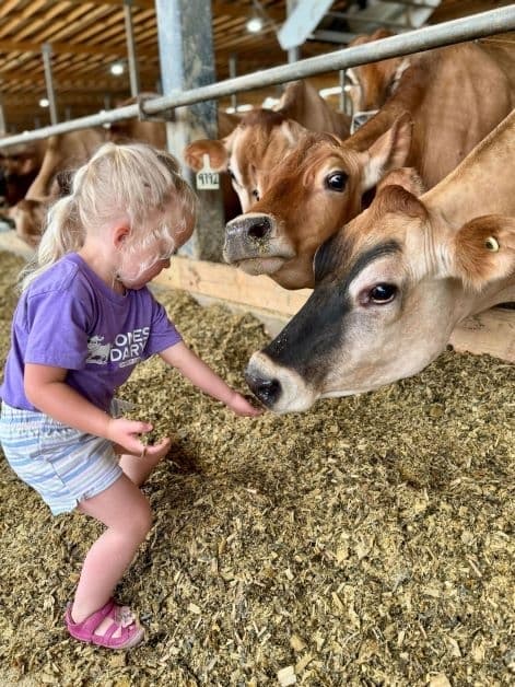 Jones Family Dairy