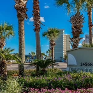 Tradewinds Orange Beach - Best Rates & Beachfront Stay