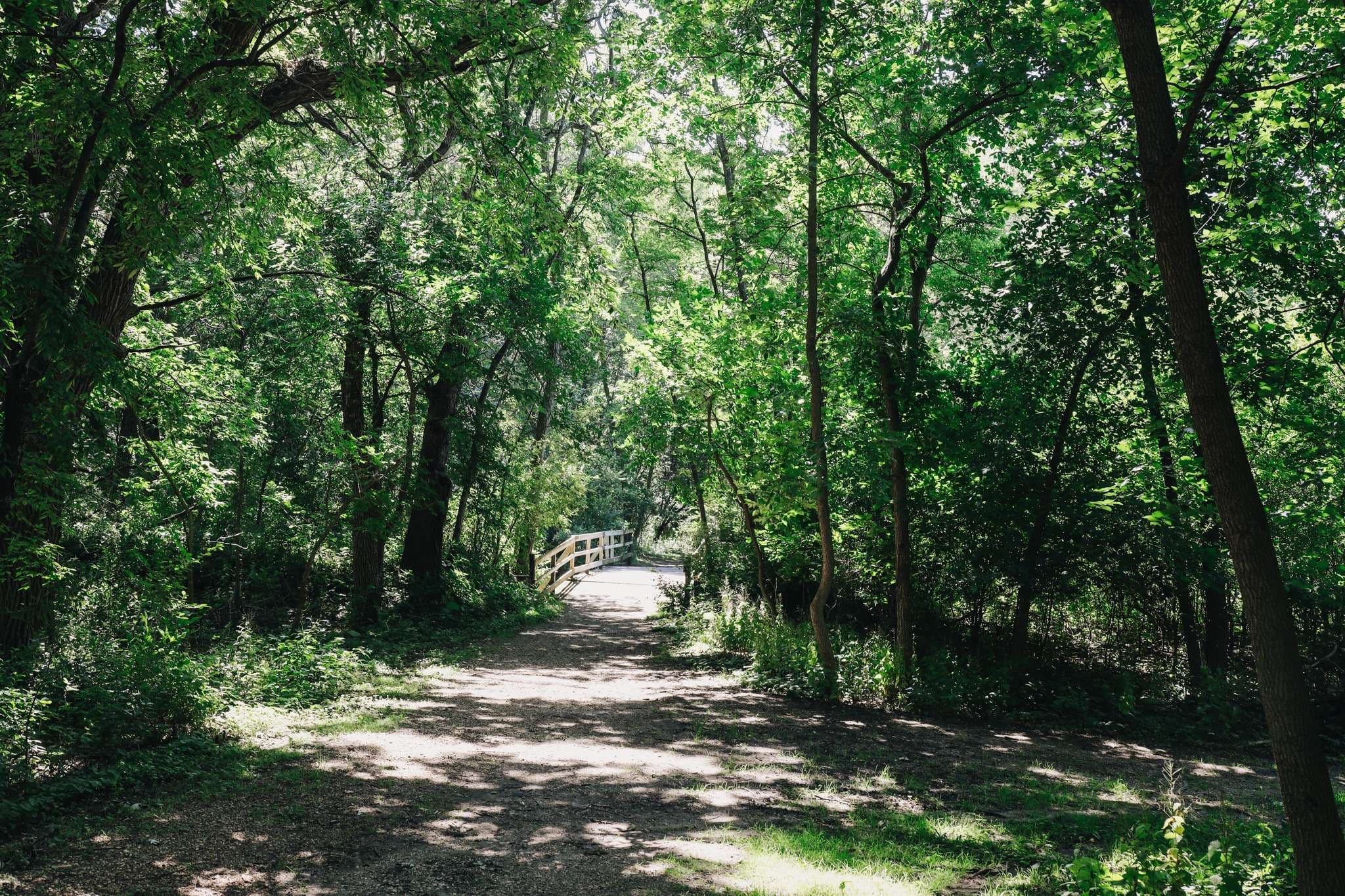 Gull Point State Park - Barney Peterson Memorial Trail | Vacation Okob