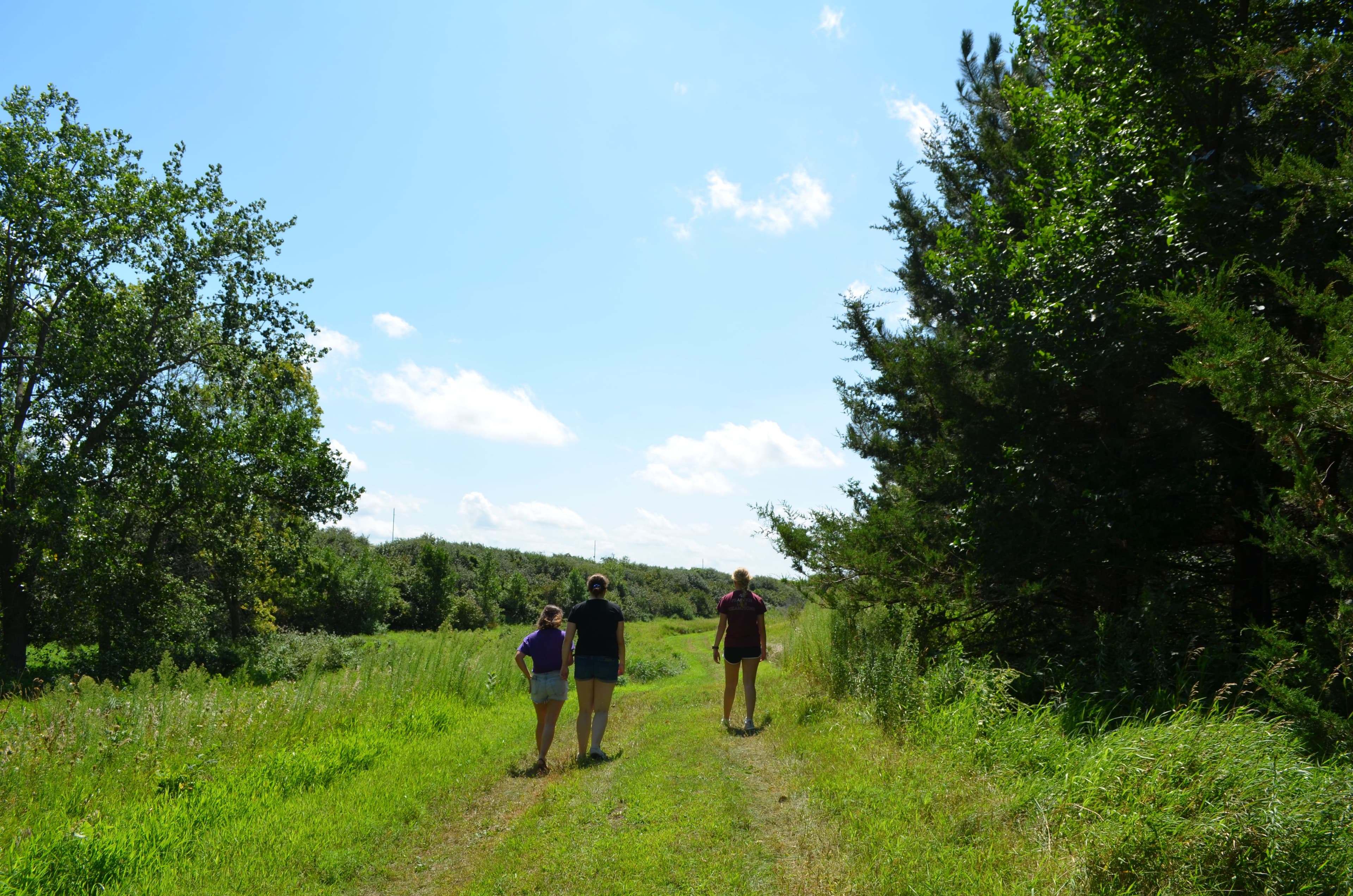 Kettelson Hogsback Park