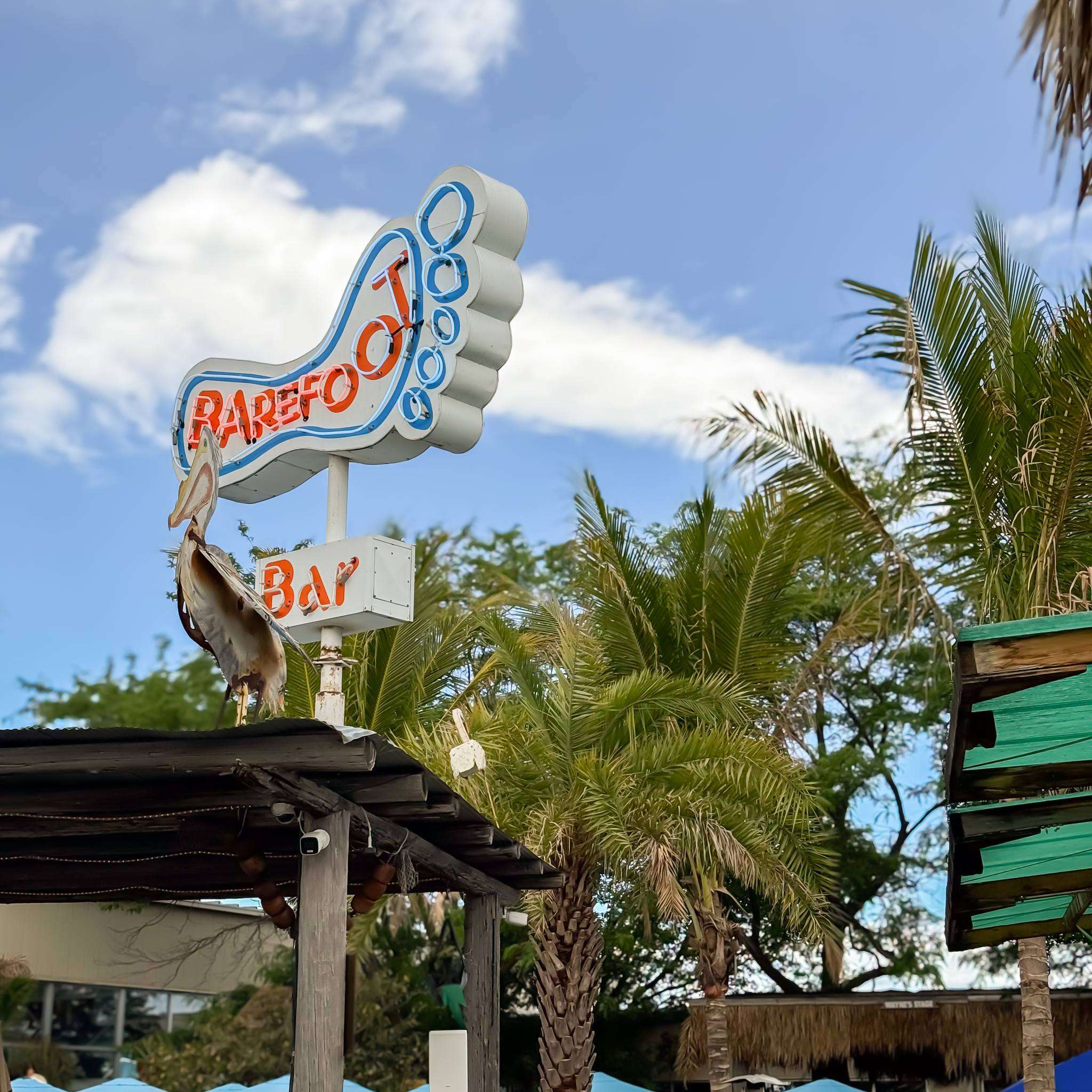 The Barefoot Bar